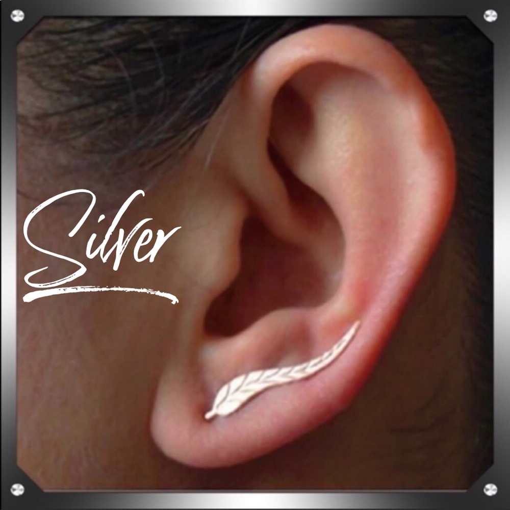 3/12$ Silver Feather Earrings
